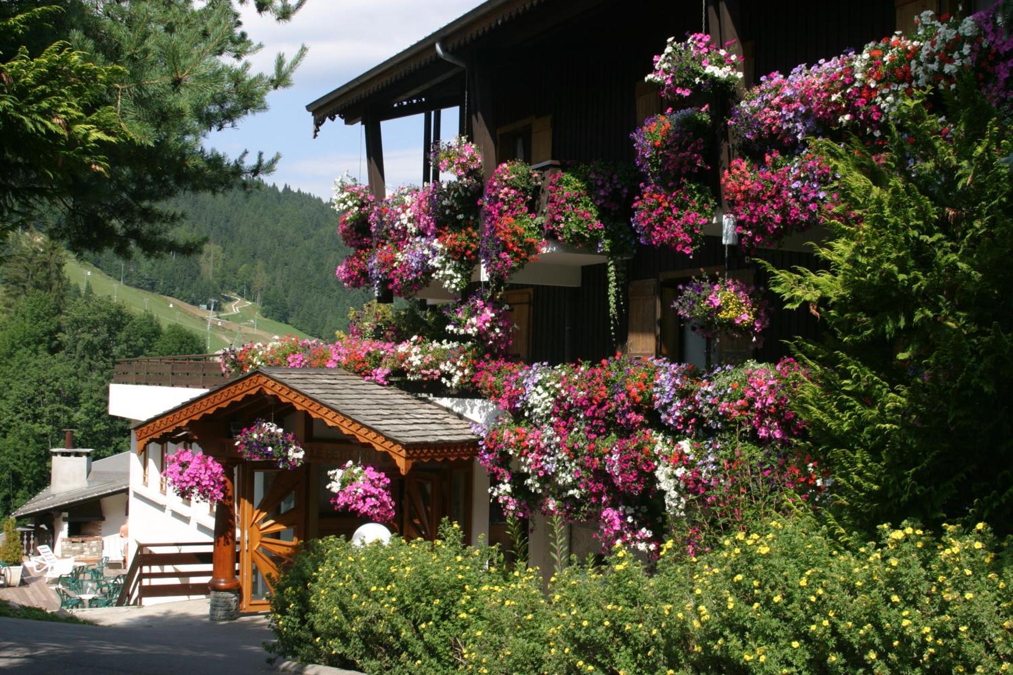 Hotel Le Petit Dru Morzine Dış mekan fotoğraf